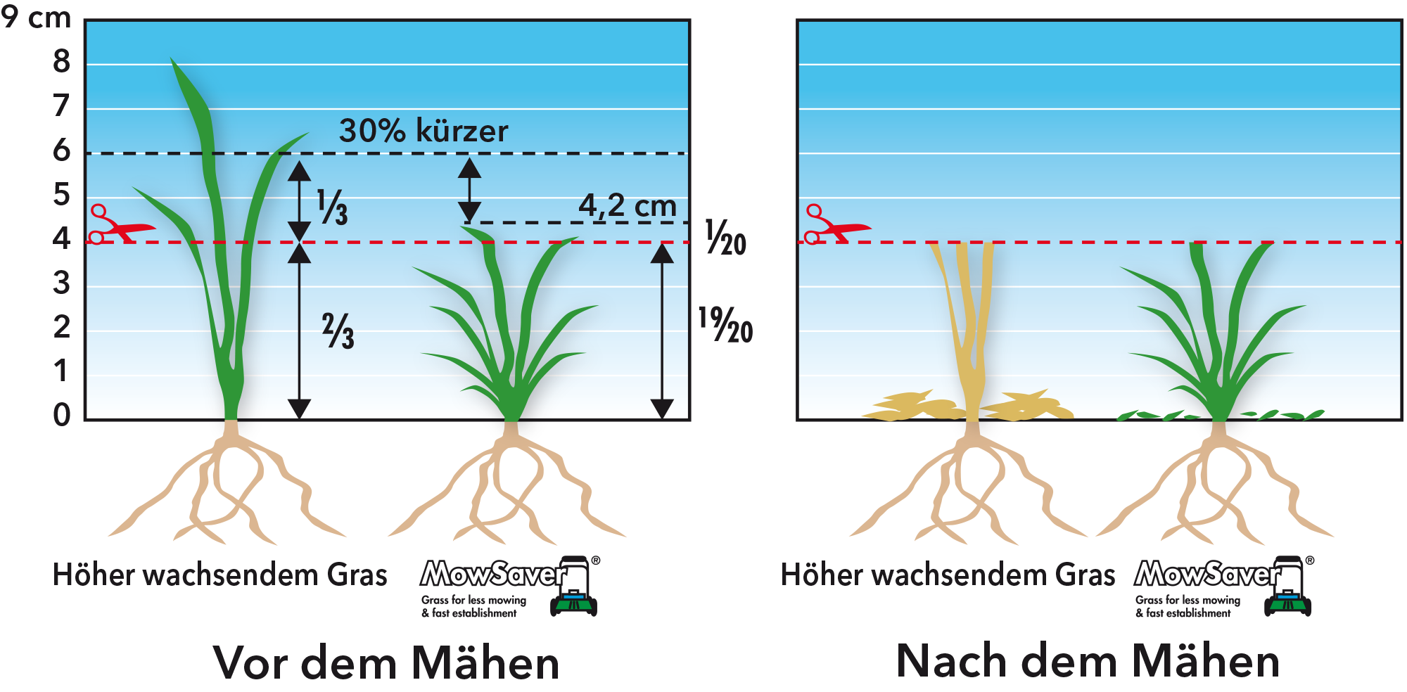 Unterschied in der Auswaschung bei höher wachsendem & niedrig wachsendem Gras.png